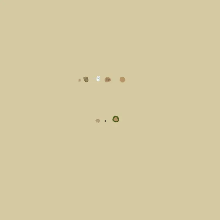 Map of A Rust Server